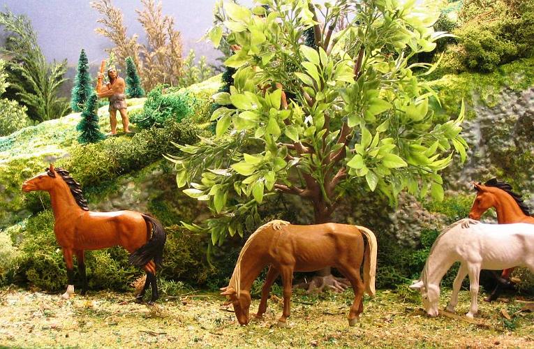 04.03 Der Leithengst beobachtet.jpg